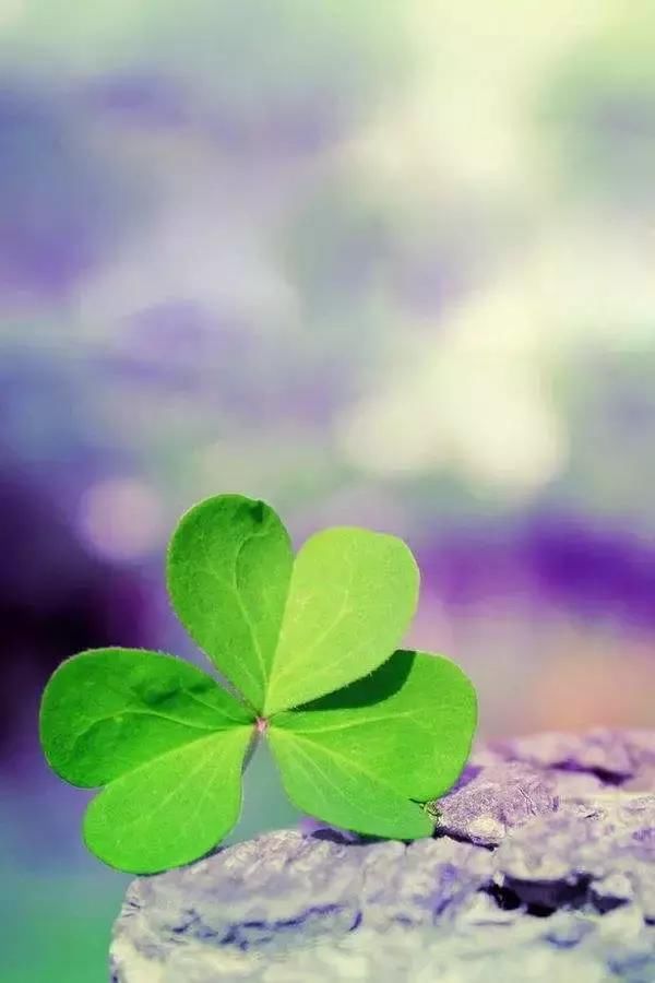 晚上好温馨话语 2018晚安情感短句