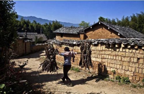 女方第一次去见男方父母,吃了一个苹果后,未来