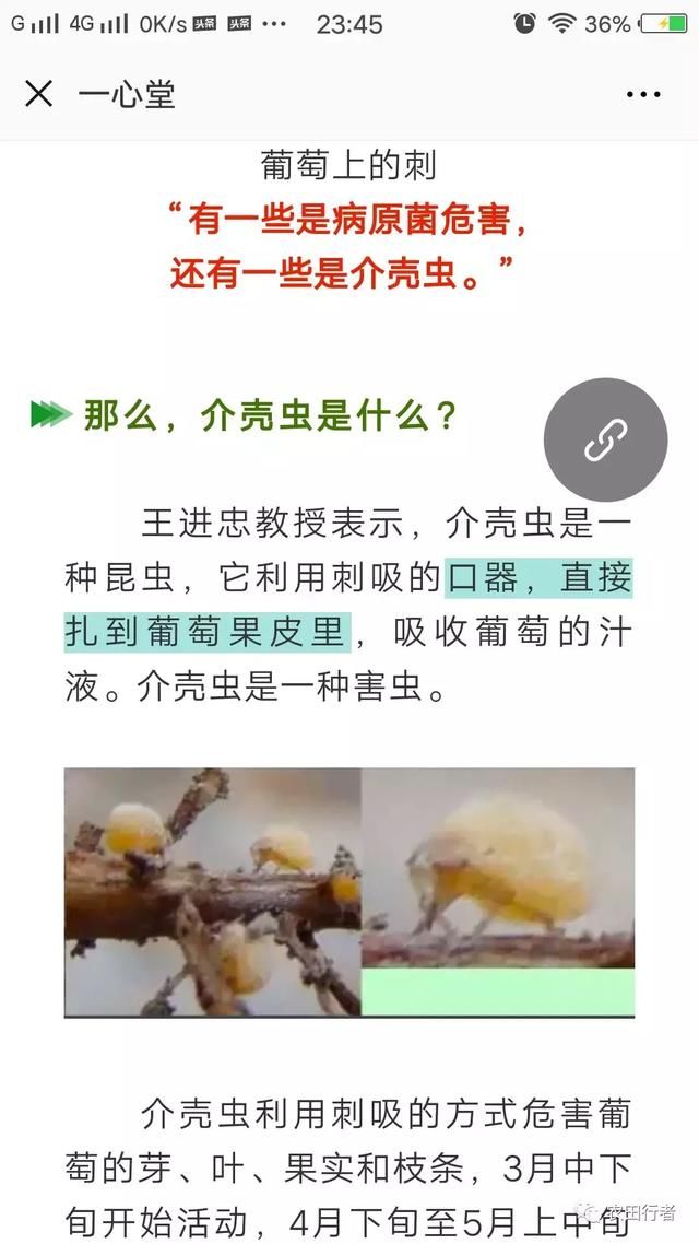 网络谣言又起，建水县葡萄价格大跌，农民种地不易，请不要传谣！