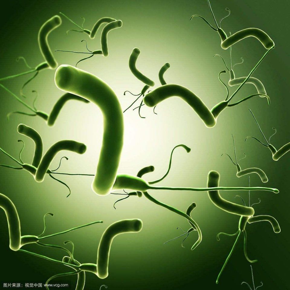 幽门螺杆菌最怕六种抗生素，七种药物组合，让胃病一扫而光!