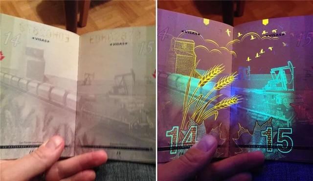 剖腹产一年正常疤图片_加拿大一年正常收入(2)