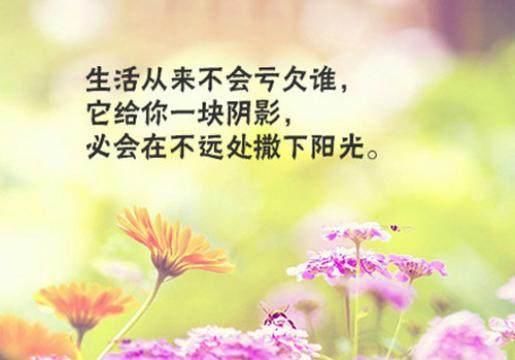 18句唯美励志的句子致自己,满满正能量!