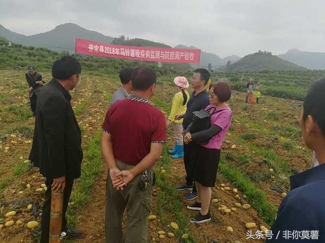 2018年普定县马铃薯晚疫病预警与控制技术研