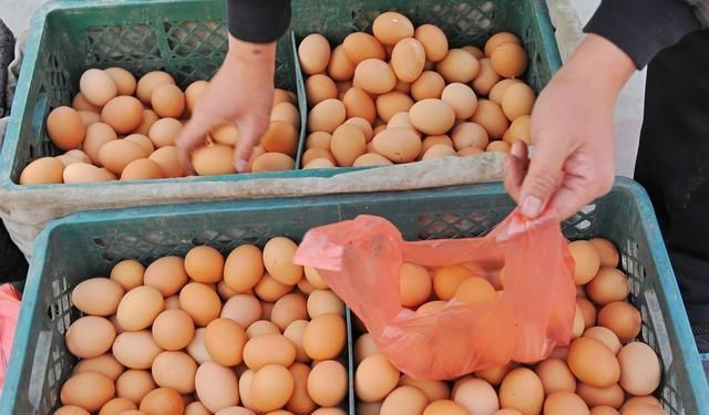 鸡蛋期货和市场价