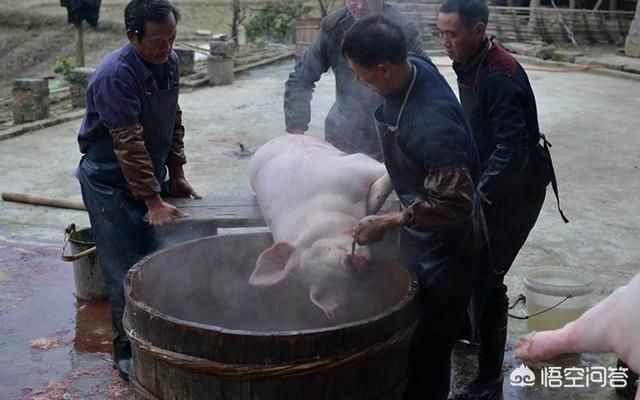 农村即将消失的职业都有哪些?