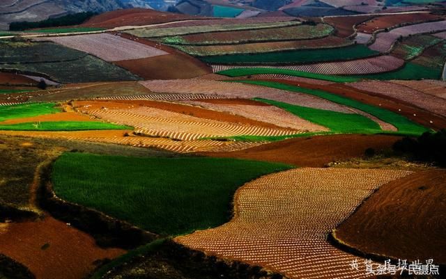 5月的云南美美滴-与大家一同分享云南旅游 摄影的景色