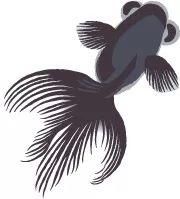 朝鲜韩国要如何统一?看越南、德国、也门统一