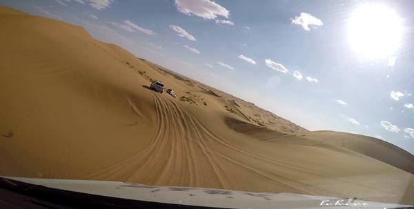 荒漠也不是荒漠了