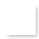 江门的这种鱼，被誉为“鱼类中的天才”！盛夏吃它正当时~丨寻味