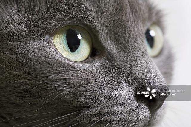 演讲稿:安全护航,青春绽放!