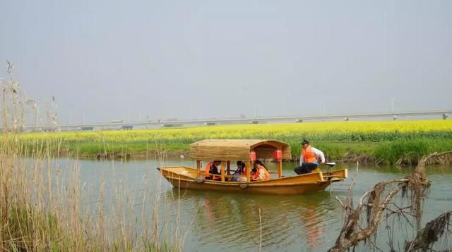 今日，高邮湖郊野公园湖上花海开园啦！