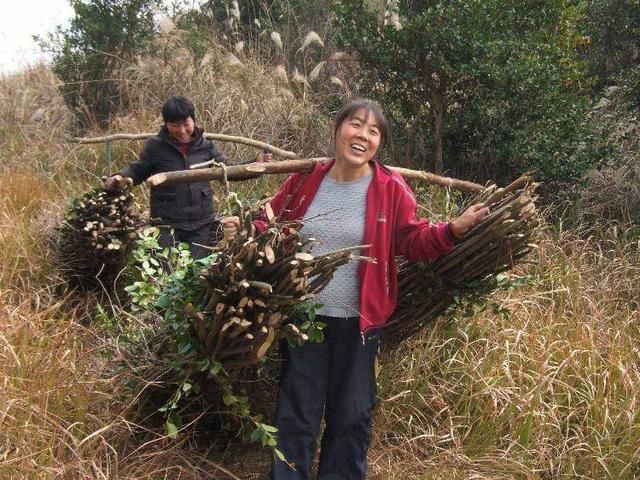 农村俗语：“男不三，女不四，五十虚，六十足”啥意思？有道理吗