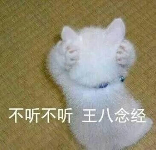 小奶猫表情超奶思!熊猫头回来了:真可爱,得找的心动了表情包图片
