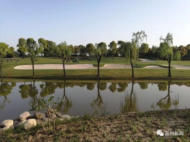 史上首次！豪华游轮停靠张家港，这座岛上的美景要藏不住了！