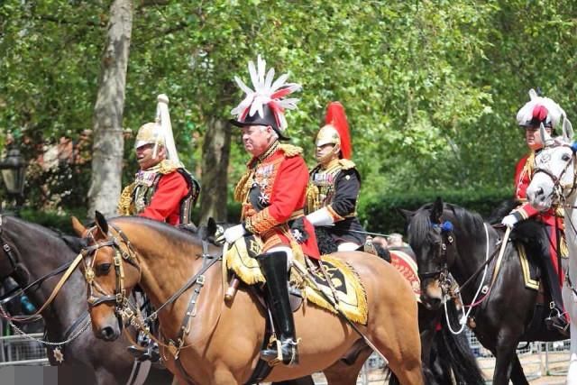 英国女王生日阅兵式上，79岁老帅当场落马