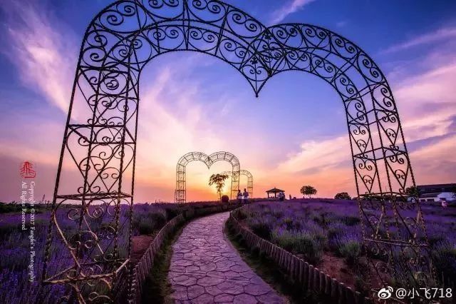 南京这些超适合一日游的地方，每一个都美如画!不看要后悔!