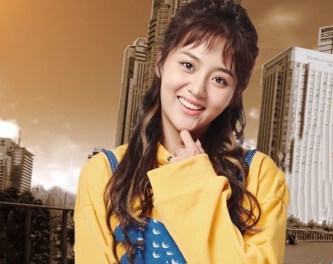 爱情公寓新人咖喱酱