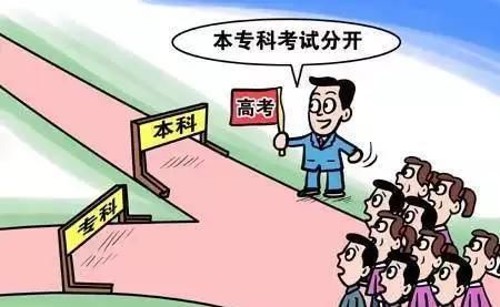 本科生与大专生的区别, 不但“真实”, 更加“现实”! sunbet官网登录