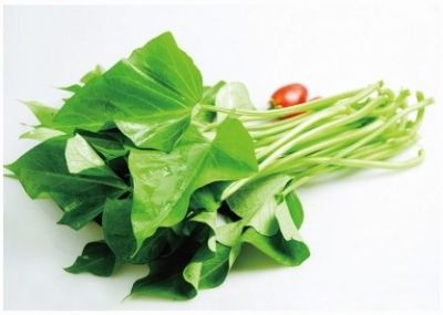 大学毕业卖红薯叶致富 梦想办假日农场