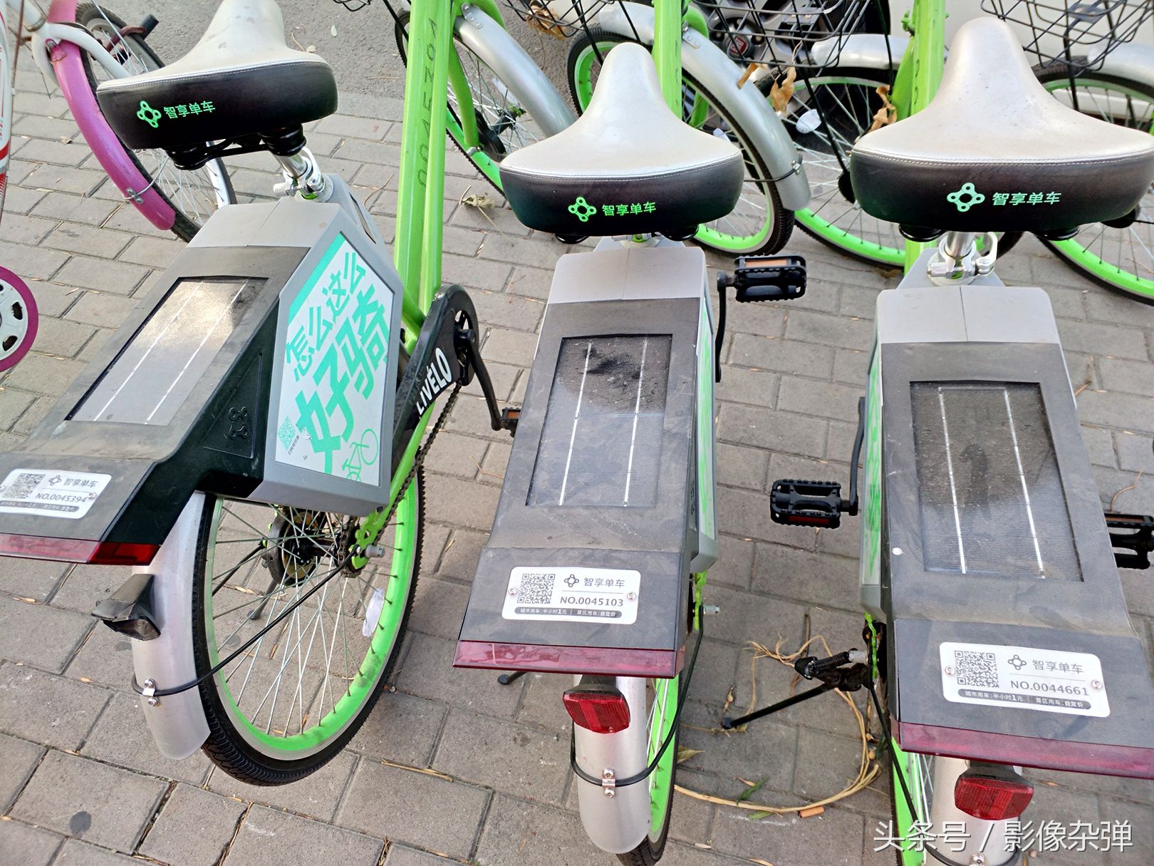 实拍:这款共享单车居然 没有锁 ,外形 特别 采用