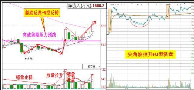 上海一女博士自曝：“换手率”黄金口诀,背熟7句实现千万梦想