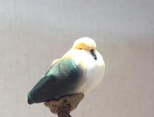 石头多了，什么鸟都有了！