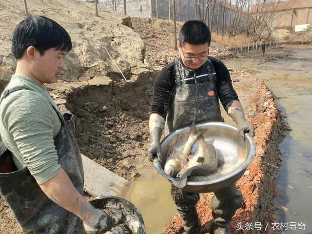 雨过天晴，农村小伙看到河里的大家伙后忍不住出手了