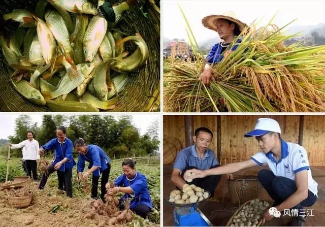 重磅“全域旅游，美好生活”2018柳州旅游嘉年华即将在三江举办