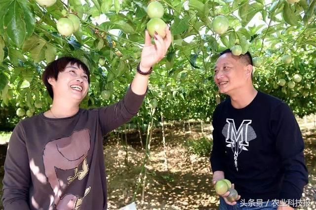 2018,干农业必看9大关键词!其中的商机你能把握几个?
