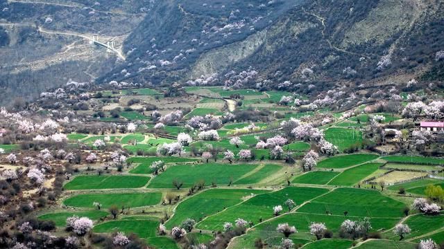 西藏的众山之父，被美国评为中国最美雪山，是西藏最难见的雪山!