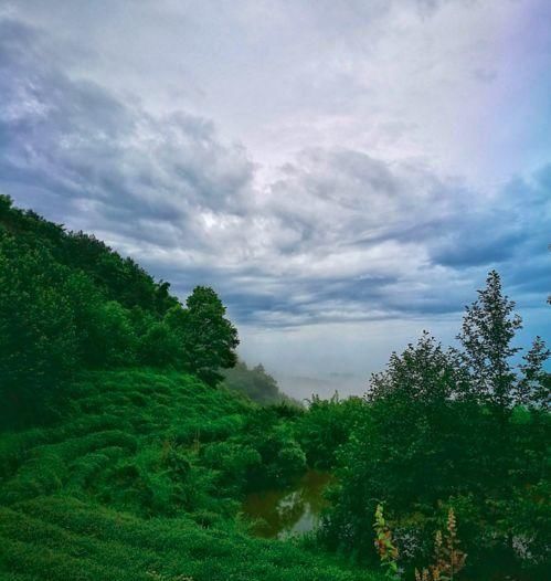 浙江隐藏的7条如诗如画的绝美“天路”你去过几条？