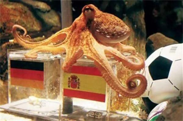 原创俄罗斯世界杯神预测!喵星人上位,挑战章