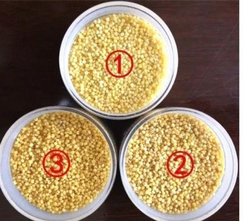 养生五谷之王 用3招挑选优质的黄小米