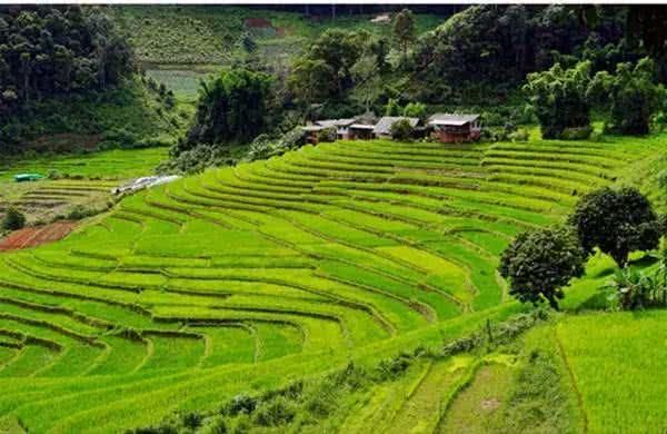 泰国最美国家公园：因他农山