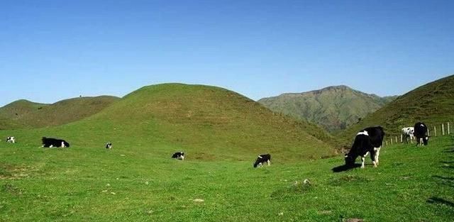 去南山牧场怎么穿搭_南山牧场