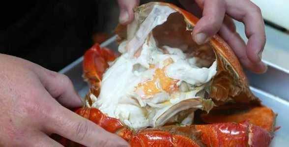老板请吃海鲜,揭开螃蟹盖,众人看傻眼直呼这顿饭太值了……