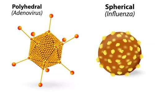 武汉出现新肺炎病毒