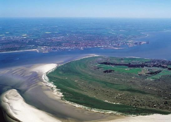 全球最大的海岛,八成地表被冰雪覆盖,但还是被中国人种上了白菜