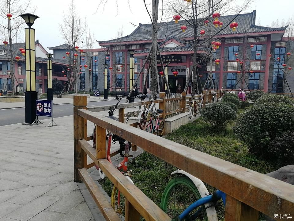 参观牛碾坪万亩观光茶