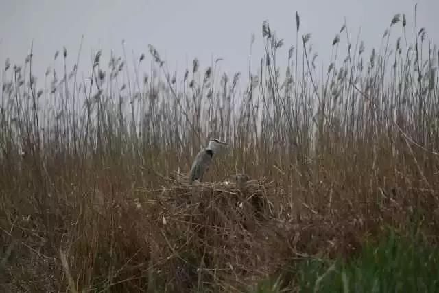 大美宁夏，火热盛夏来临，一起走进大自然~