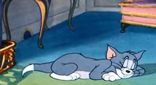 猫和老鼠:来自官方的《天堂普斯》,Tom的阴影