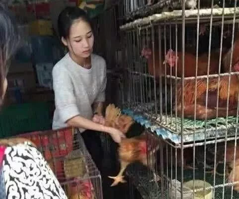 幽默笑话:爸,你怎么还在,妈说你净身出户了,准备晚上庆祝一下 幽默笑话:爸,你怎么还在,妈说你净身出户了,准备晚上庆祝一下