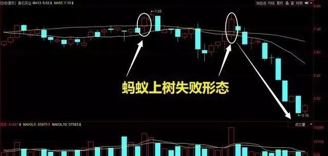 一旦出现“蚂蚁上树”形态,马上满仓介入,涨停板手到擒来!