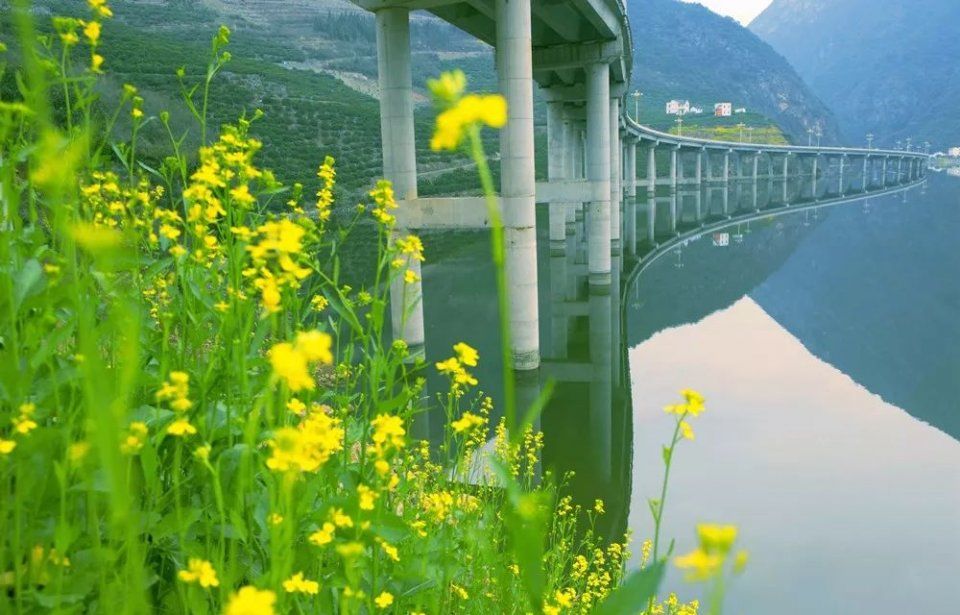 【美翻了，我的村】湖北宜昌深渡河村:车在画中“游”