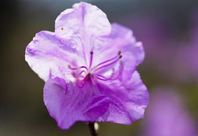 新年祥瑞多，三大生肖3日后发横财喜缠身，发财大满贯，金光耀眼