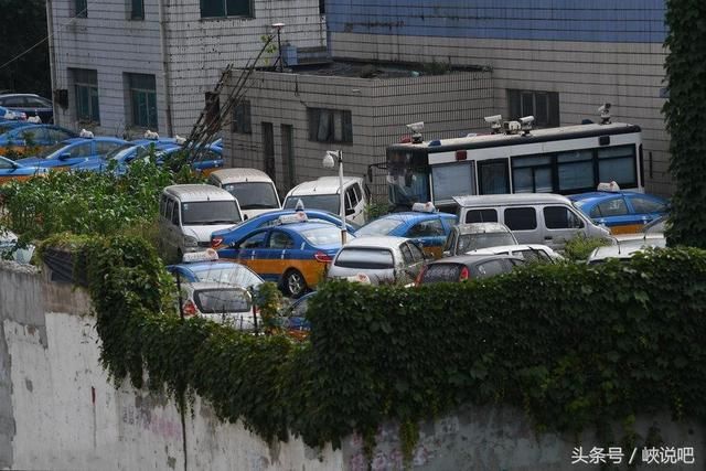 贵阳现“僵尸汽车坟场” 密密麻麻杂草丛生场面震撼