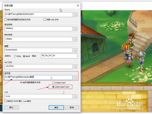 NDS模拟器 DeSmuME 如何使用R4金手指