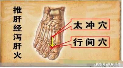 肝火旺盛、舌尖起泡，一按行间穴就消!