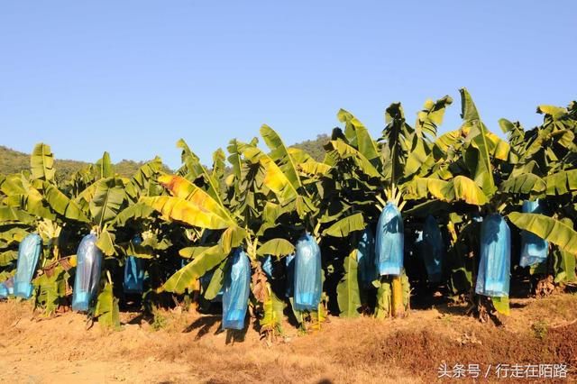 最特殊地区：与中国通婚频繁的克钦族，13岁当兵终身不退伍