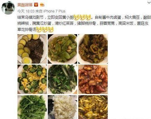黄磊微博晒为家人做的菜,网友觉得卖相太差,吃